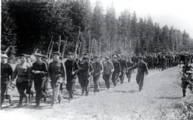 Колонна членов народного ополчения Сталинского района г. Молотова выдвигается на полевые занятия. Верхне-Муллинский район, Молотовская область. Август 1941 г. ПермГАСПИ. Ф. 8043. Оп. 1-Г. Д. 58. Л. 1.