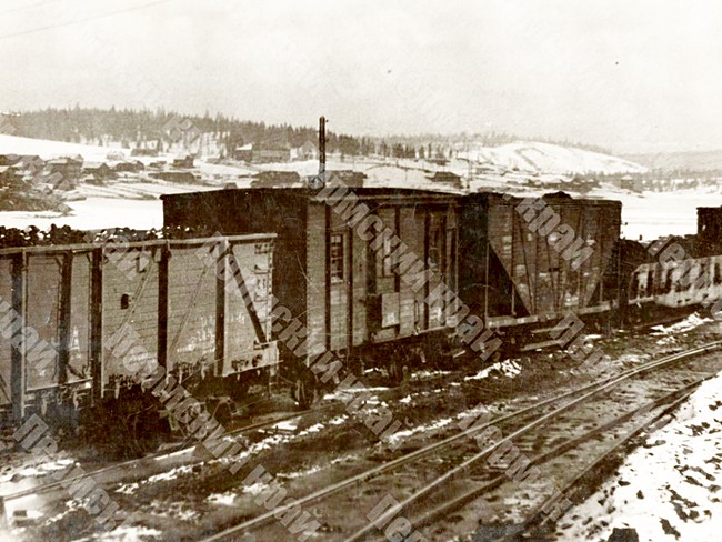 A trainload  of  Kizel coal moves through the territory of the Molotov region